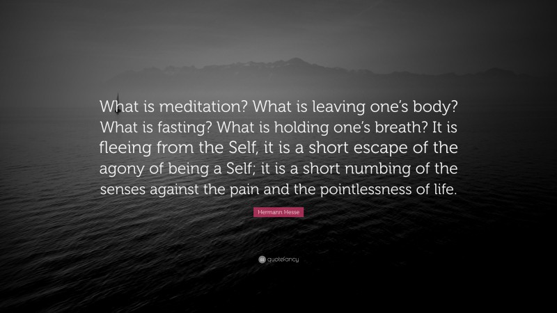 Hermann Hesse Quote: “What is meditation? What is leaving one’s body? What is fasting? What is holding one’s breath? It is fleeing from the Self, it is a short escape of the agony of being a Self; it is a short numbing of the senses against the pain and the pointlessness of life.”