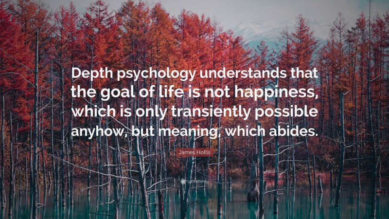 James Hollis Quote: “Depth psychology understands that the goal of life is not happiness, which is only transiently possible anyhow, but meaning, which abides.”