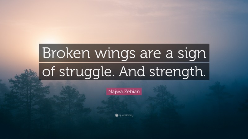 Najwa Zebian Quote: “Broken wings are a sign of struggle. And strength.”