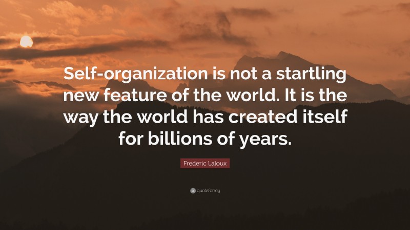 Frederic Laloux Quote: “Self-organization is not a startling new feature of the world. It is the way the world has created itself for billions of years.”
