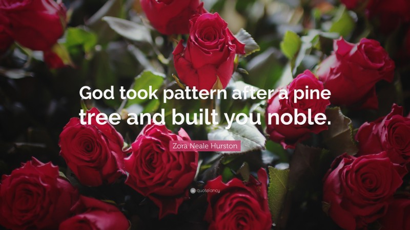 Zora Neale Hurston Quote: “God took pattern after a pine tree and built you noble.”