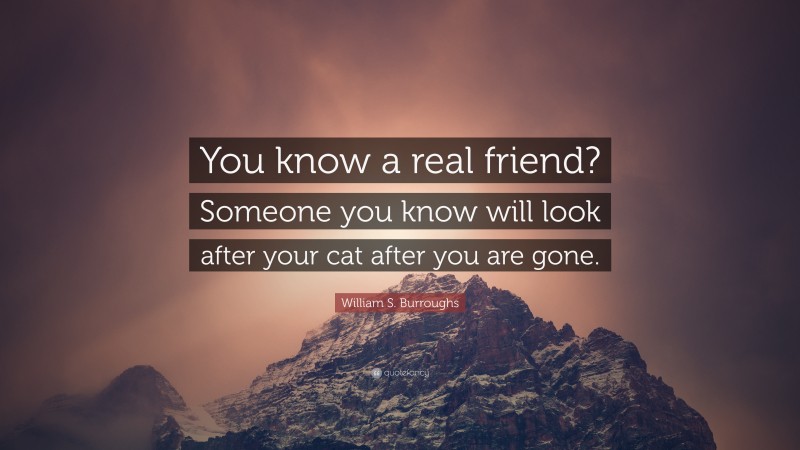 William S. Burroughs Quote: “You know a real friend? Someone you know will look after your cat after you are gone.”