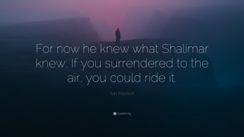 Toni Morrison Quote: “For now he knew what Shalimar knew: If you surrendered to the air, you could ride it.”