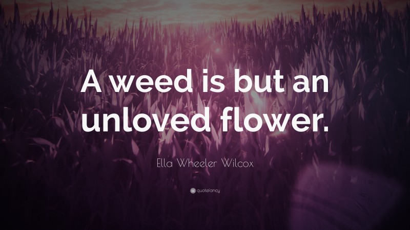 Ella Wheeler Wilcox Quote: “A weed is but an unloved flower.”