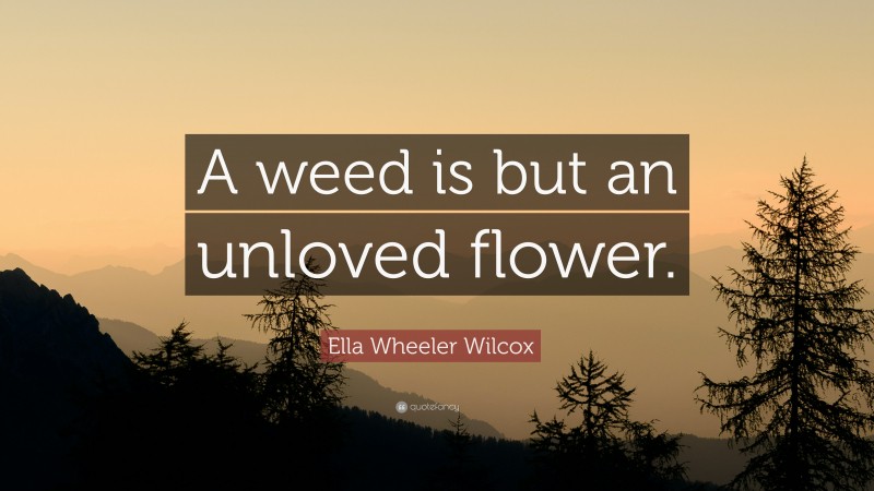 Ella Wheeler Wilcox Quote: “A weed is but an unloved flower.”