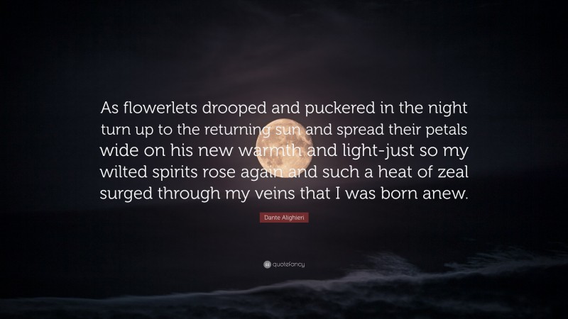 Dante Alighieri Quote: “As flowerlets drooped and puckered in the night turn up to the returning sun and spread their petals wide on his new warmth and light-just so my wilted spirits rose again and such a heat of zeal surged through my veins that I was born anew.”