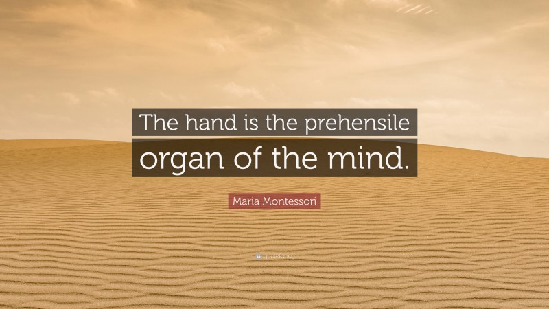 Maria Montessori Quote: “The hand is the prehensile organ of the mind.”