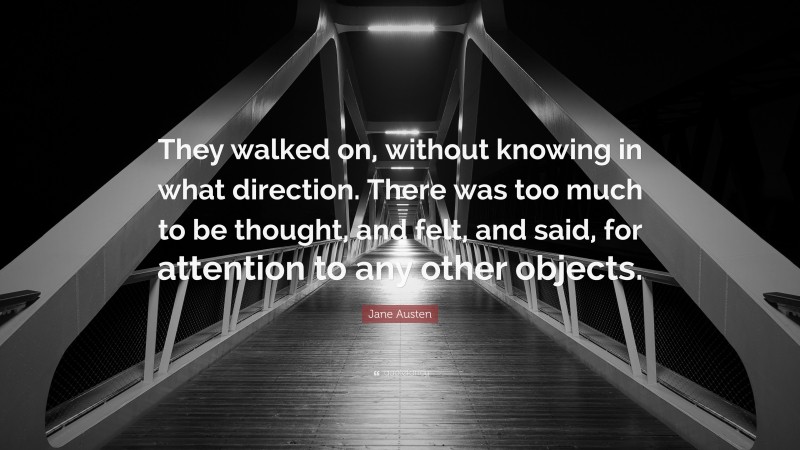 Jane Austen Quote: “They walked on, without knowing in what direction. There was too much to be thought, and felt, and said, for attention to any other objects.”