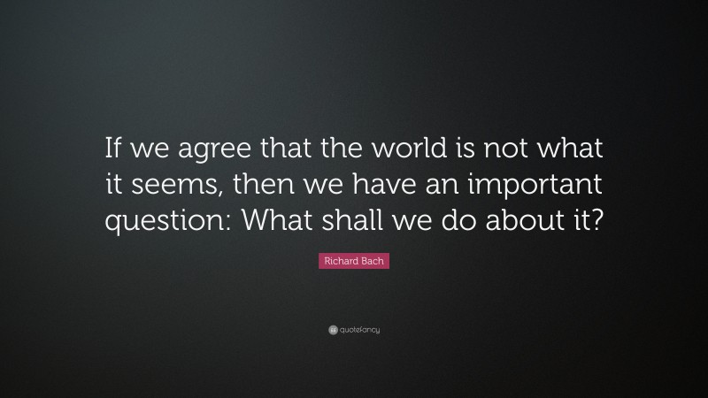 Richard Bach Quote: “If we agree that the world is not what it seems, then we have an important question: What shall we do about it?”