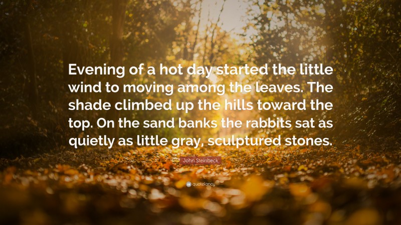 John Steinbeck Quote: “Evening of a hot day started the little wind to moving among the leaves. The shade climbed up the hills toward the top. On the sand banks the rabbits sat as quietly as little gray, sculptured stones.”