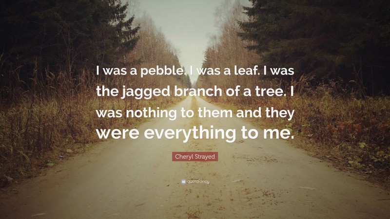 Cheryl Strayed Quote: “I was a pebble. I was a leaf. I was the jagged branch of a tree. I was nothing to them and they were everything to me.”