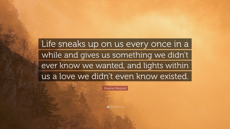 Shauna Niequist Quote: “Life sneaks up on us every once in a while and gives us something we didn’t ever know we wanted, and lights within us a love we didn’t even know existed.”