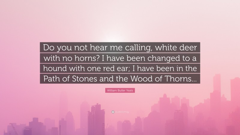 William Butler Yeats Quote: “Do you not hear me calling, white deer with no horns? I have been changed to a hound with one red ear; I have been in the Path of Stones and the Wood of Thorns...”