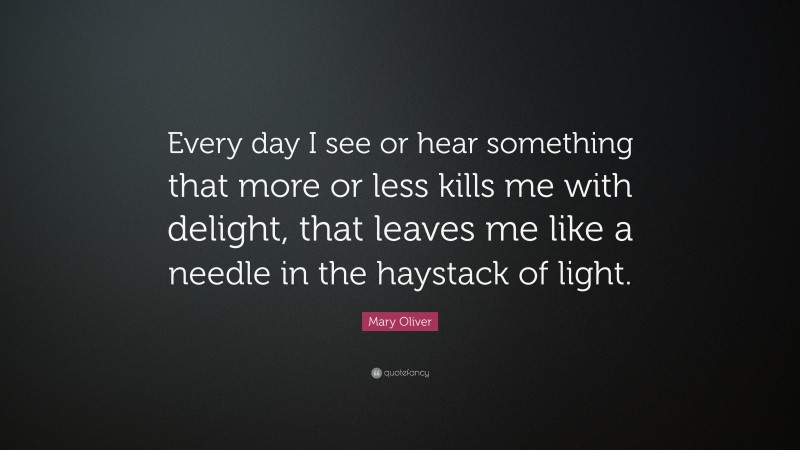 Mary Oliver Quote: “Every day I see or hear something that more or less kills me with delight, that leaves me like a needle in the haystack of light.”