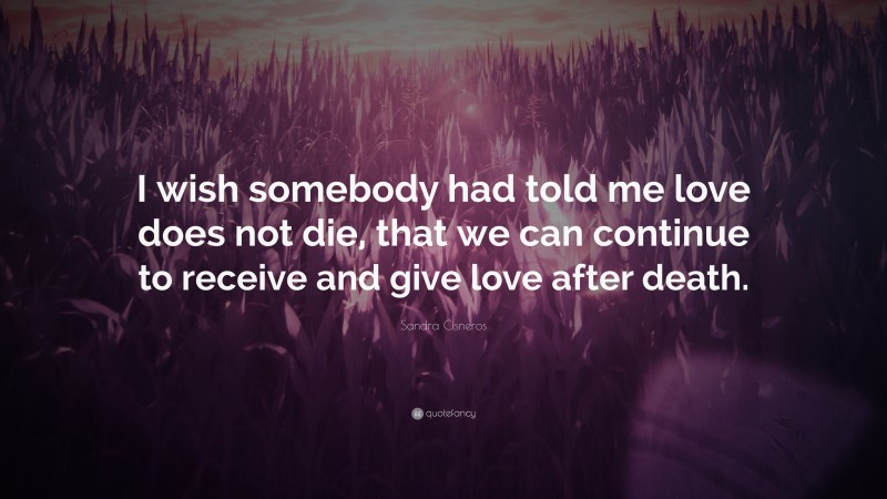 Sandra Cisneros Quote: “I wish somebody had told me love does not die, that we can continue to receive and give love after death.”