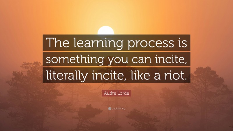 Audre Lorde Quote: “The learning process is something you can incite, literally incite, like a riot.”