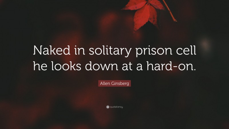 Allen Ginsberg Quote: “Naked in solitary prison cell he looks down at a hard-on.”
