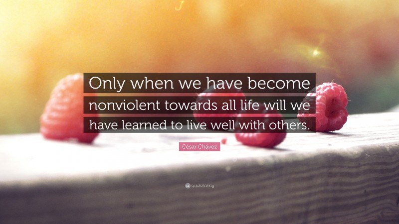 César Chávez Quote: “Only when we have become nonviolent towards all life will we have learned to live well with others.”
