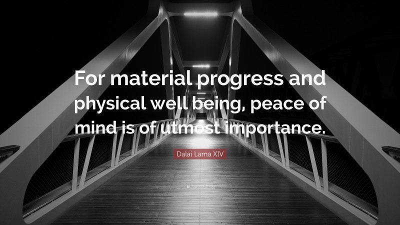 Dalai Lama XIV Quote: “For material progress and physical well being, peace of mind is of utmost importance.”