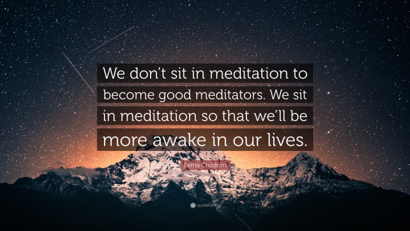 Pema Chödrön Quote: “We don’t sit in meditation to become good meditators. We sit in meditation so that we’ll be more awake in our lives.”