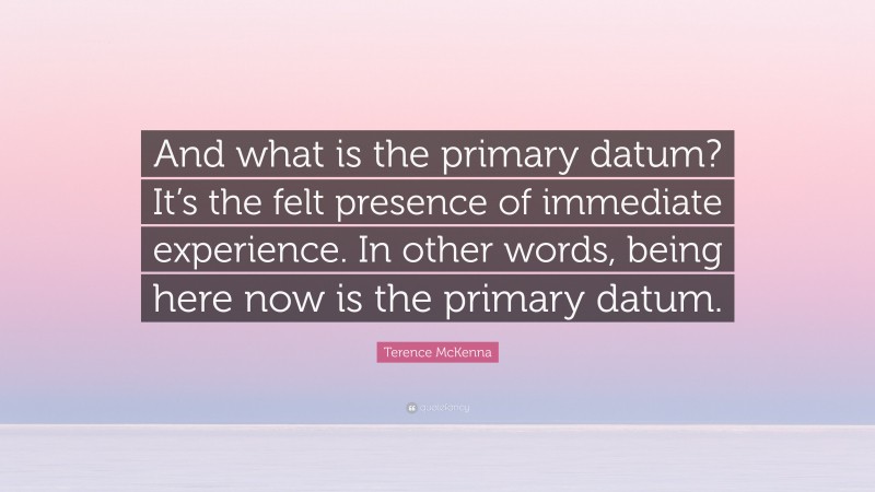 Terence McKenna Quote: “And what is the primary datum? It’s the felt presence of immediate experience. In other words, being here now is the primary datum.”