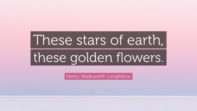 Henry Wadsworth Longfellow Quote: “These stars of earth, these golden flowers.”