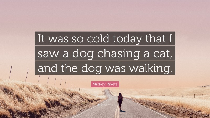 Mickey Rivers Quote: “It was so cold today that I saw a dog chasing a cat, and the dog was walking.”