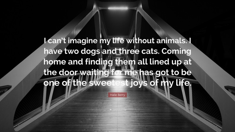 Halle Berry Quote: “I can’t imagine my life without animals. I have two dogs and three cats. Coming home and finding them all lined up at the door waiting for me has got to be one of the sweetest joys of my life.”
