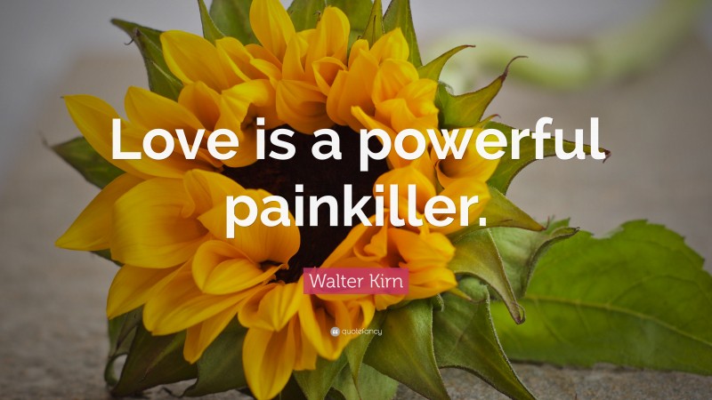 Walter Kirn Quote: “Love is a powerful painkiller.”