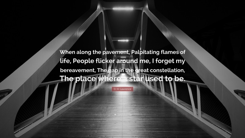 D. H. Lawrence Quote: “When along the pavement, Palpitating flames of life, People flicker around me, I forget my bereavement, The gap in the great constellation, The place where a star used to be.”