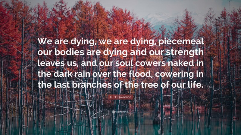 D. H. Lawrence Quote: “We are dying, we are dying, piecemeal our bodies are dying and our strength leaves us, and our soul cowers naked in the dark rain over the flood, cowering in the last branches of the tree of our life.”