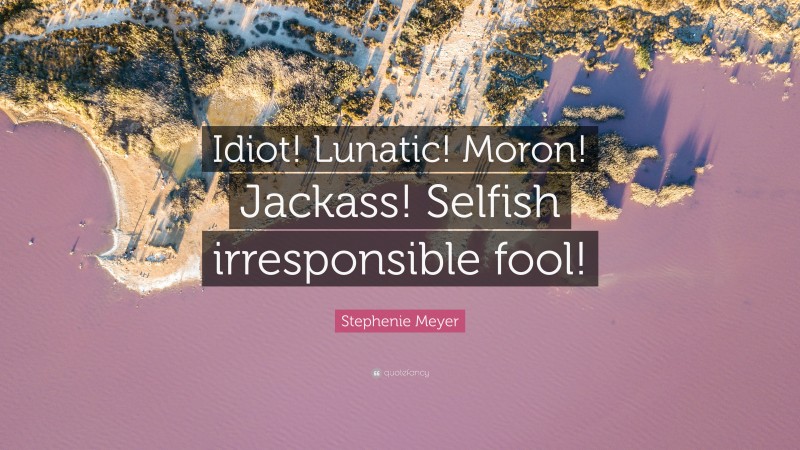 Stephenie Meyer Quote: “Idiot! Lunatic! Moron! Jackass! Selfish irresponsible fool!”