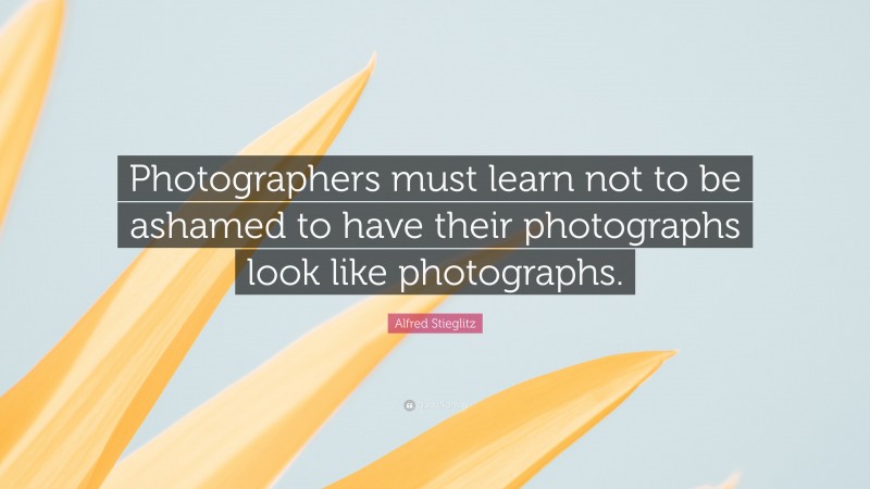 Alfred Stieglitz Quote: “Photographers must learn not to be ashamed to have their photographs look like photographs.”