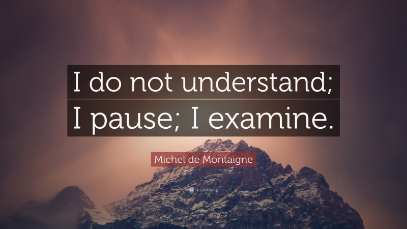 Michel de Montaigne Quote: “I do not understand; I pause; I examine.”
