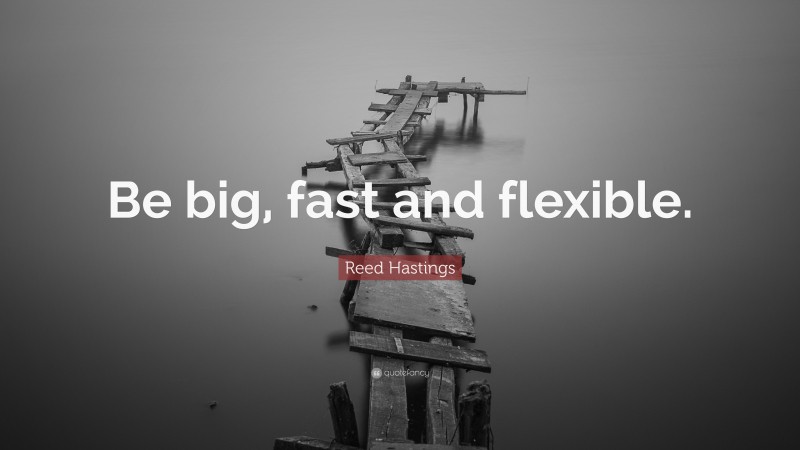 Reed Hastings Quote: “Be big, fast and flexible.”
