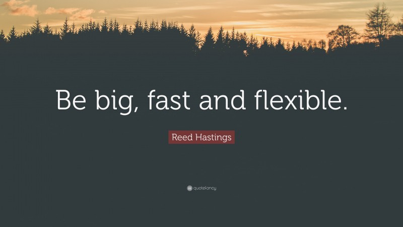 Reed Hastings Quote: “Be big, fast and flexible.”