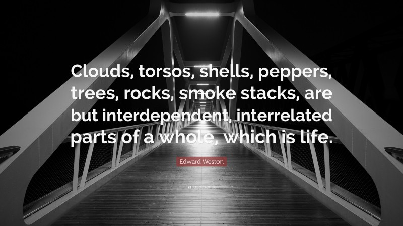 Edward Weston Quote: “Clouds, torsos, shells, peppers, trees, rocks, smoke stacks, are but interdependent, interrelated parts of a whole, which is life.”