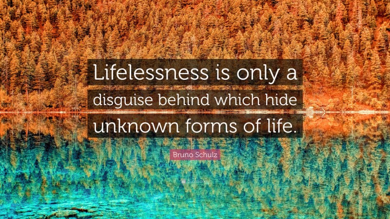 Bruno Schulz Quote: “Lifelessness is only a disguise behind which hide unknown forms of life.”