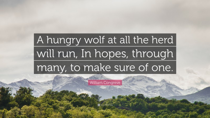 William Congreve Quote: “A hungry wolf at all the herd will run, In hopes, through many, to make sure of one.”