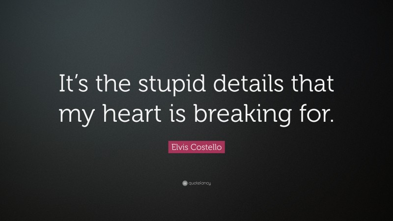 Elvis Costello Quote: “It’s the stupid details that my heart is breaking for.”