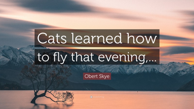 Obert Skye Quote: “Cats learned how to fly that evening,...”