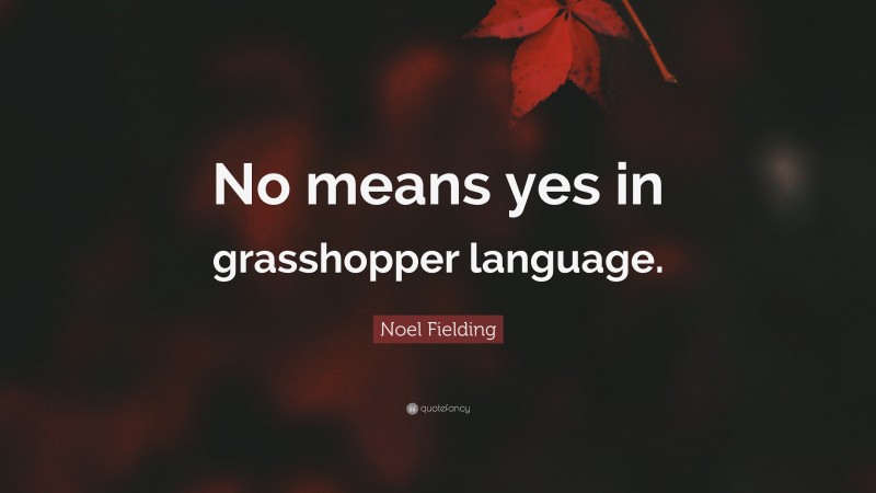 Noel Fielding Quote: “No means yes in grasshopper language.”