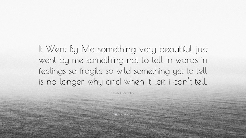Trinh T. Minh-ha Quote: “It Went By Me something very beautiful just went by me something not to tell in words in feelings so fragile so wild something yet to tell is no longer why and when it left i can’t tell.”