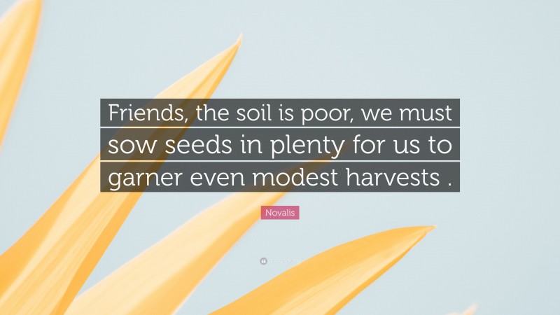 Novalis Quote: “Friends, the soil is poor, we must sow seeds in plenty for us to garner even modest harvests .”