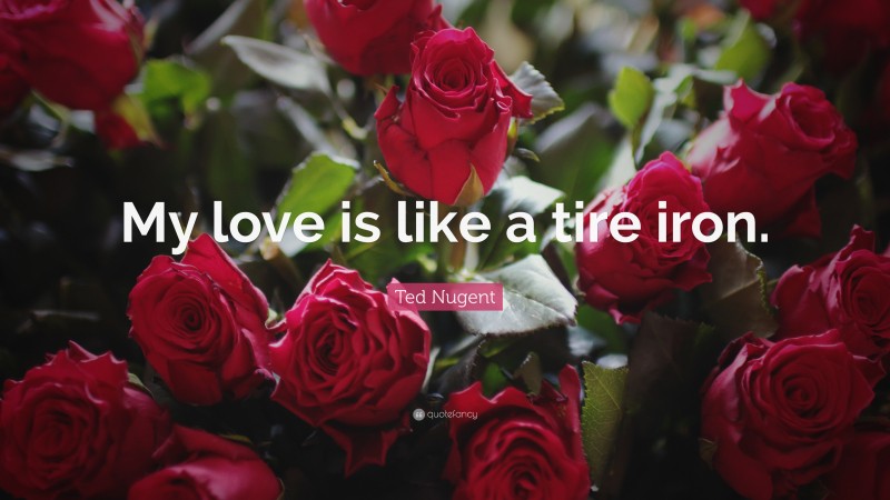 Ted Nugent Quote: “My love is like a tire iron.”