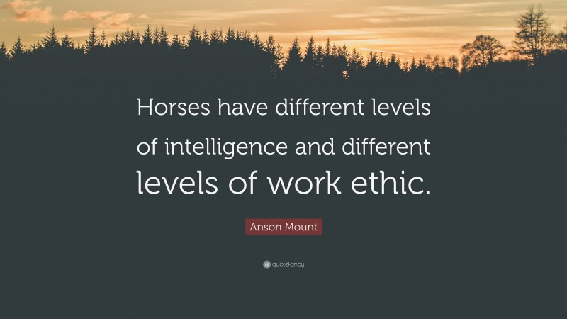 Anson Mount Quote: “Horses have different levels of intelligence and different levels of work ethic.”