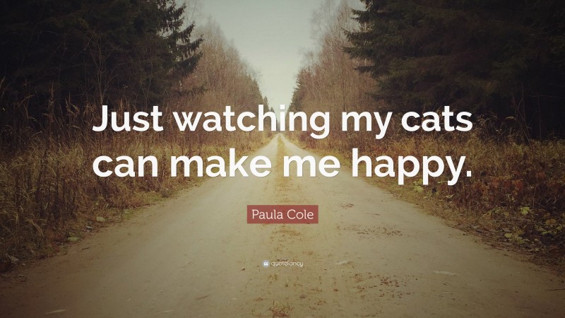 Paula Cole Quote: “Just watching my cats can make me happy.”