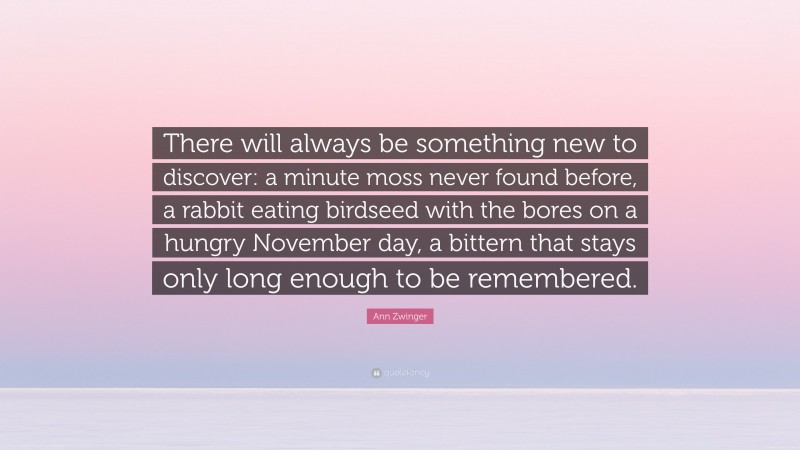 Ann Zwinger Quote: “There will always be something new to discover: a minute moss never found before, a rabbit eating birdseed with the bores on a hungry November day, a bittern that stays only long enough to be remembered.”