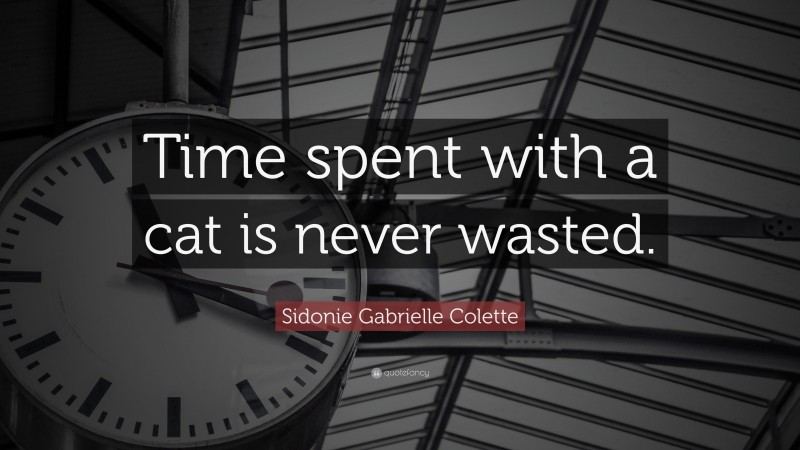 Sidonie Gabrielle Colette Quote: “Time spent with a cat is never wasted.”