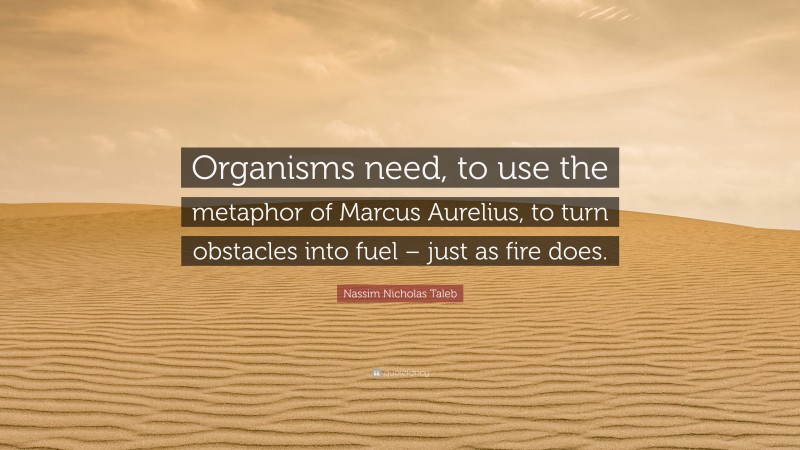 Nassim Nicholas Taleb Quote: “Organisms need, to use the metaphor of Marcus Aurelius, to turn obstacles into fuel – just as fire does.”